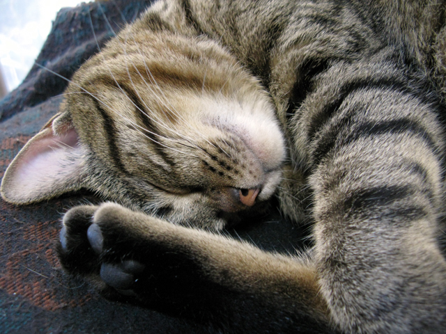 a0117440_23363271.jpg