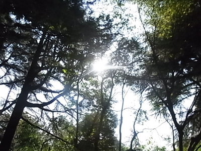b0019140_14585374.jpg