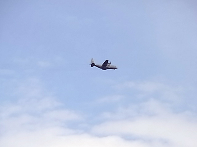 b0019140_1458859.jpg