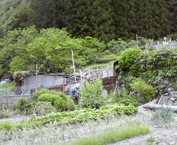 c0136640_244384.jpg