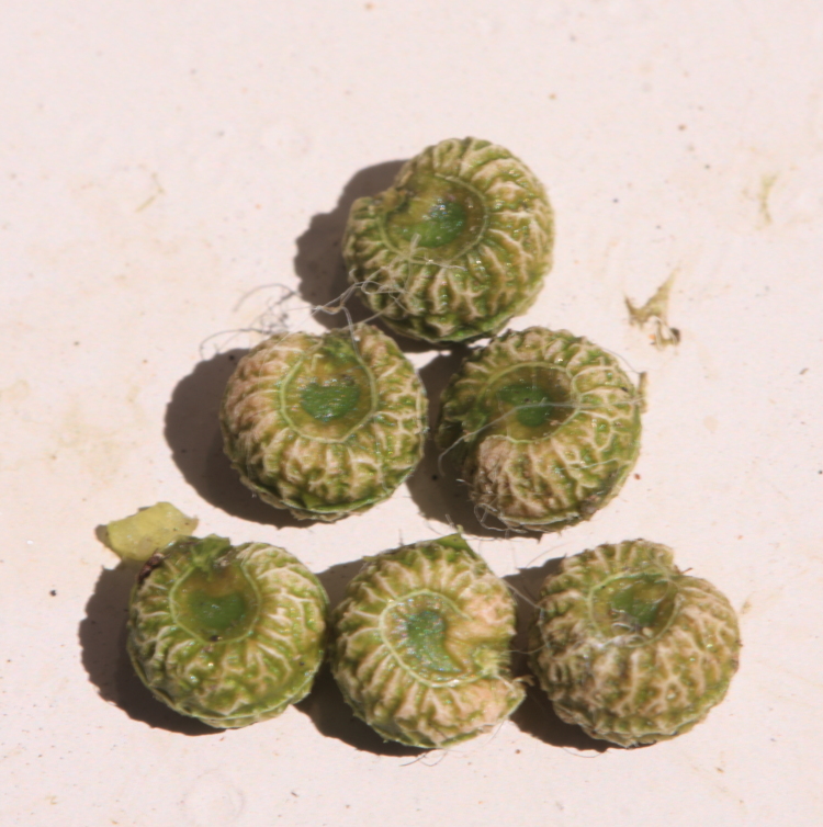 d0247340_16134882.jpg