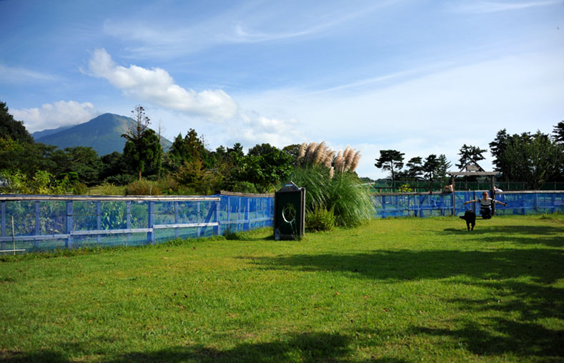 b0075541_0441556.jpg