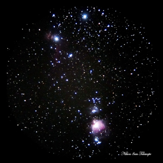 b0167343_0282344.jpg