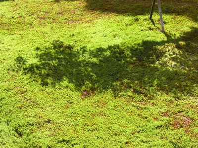 d0022845_026270.jpg