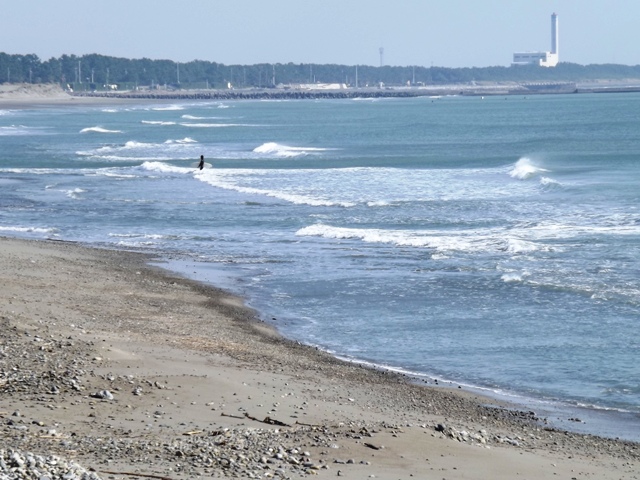 a0134746_920244.jpg
