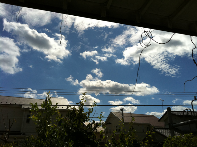 f0179947_08399.jpg