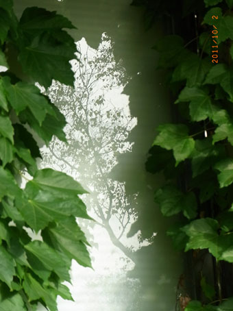 b0075364_19384917.jpg