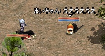 a0201367_3132181.jpg