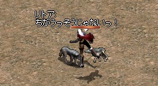 a0201367_3544615.jpg