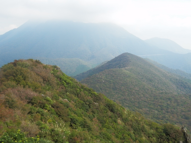 c0042869_2016348.jpg