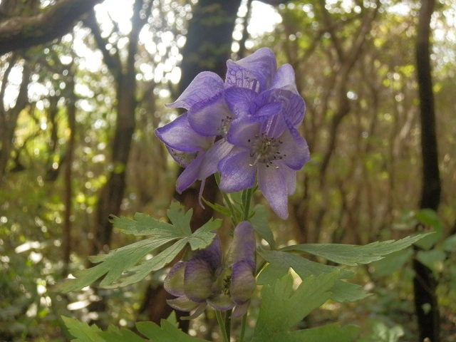c0042869_2025432.jpg