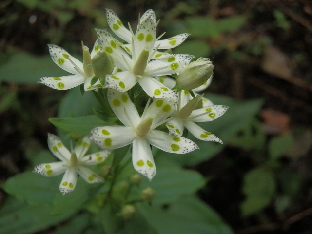 c0042869_2083625.jpg