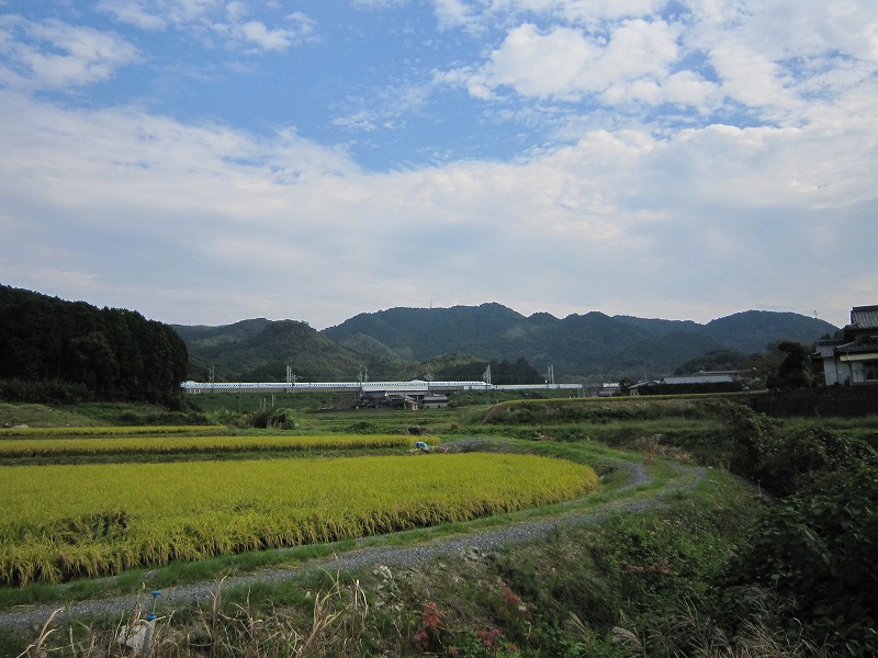 a0016171_9471679.jpg