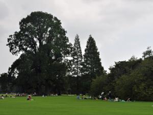 d0252577_651421.jpg