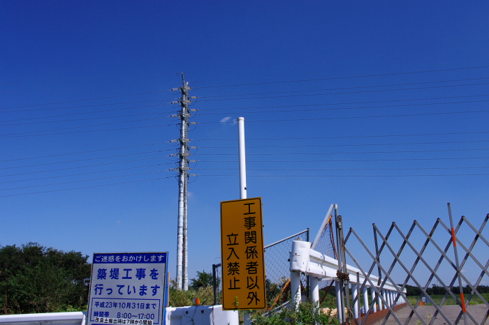 b0120979_1673935.jpg