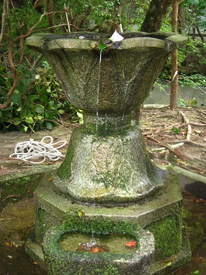 d0133485_9311238.jpg