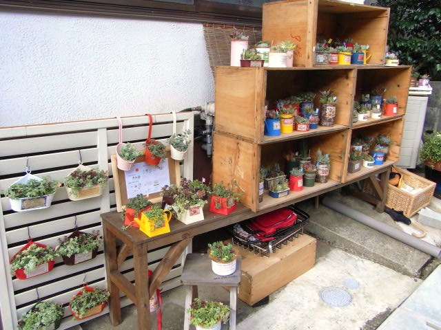 a0175888_22171986.jpg