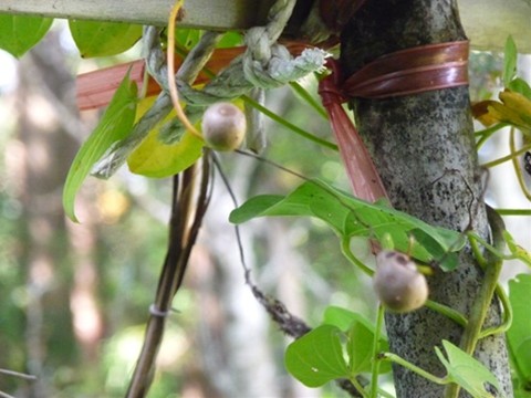 a0138198_14555468.jpg