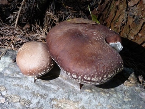 a0138198_1553460.jpg