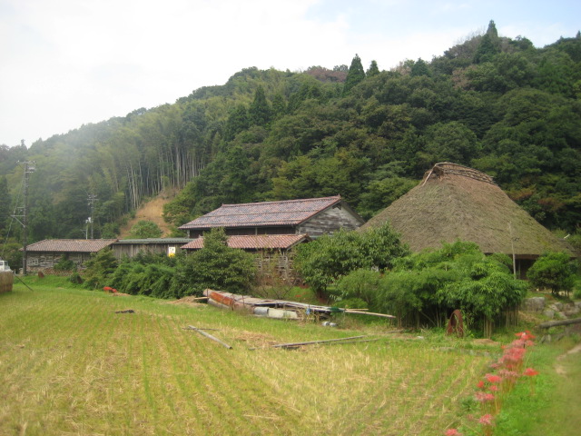 a0193698_6563944.jpg