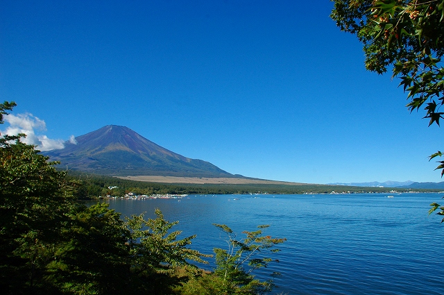 b0211198_16331448.jpg