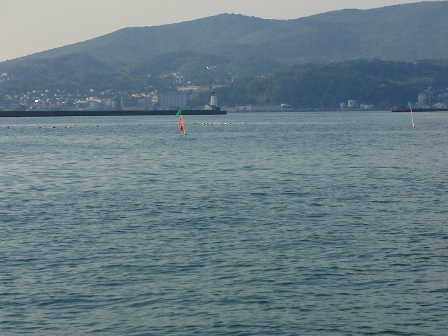 f0157901_20424513.jpg