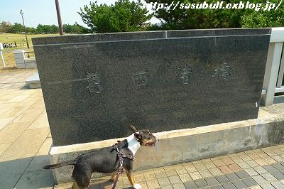 e0145805_2219243.jpg