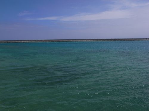 d0131006_19334675.jpg
