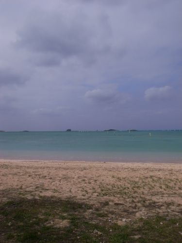 d0131006_1964820.jpg