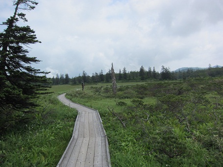e0157915_22273115.jpg