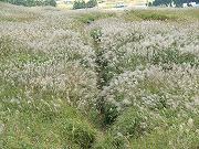 f0191517_10181243.jpg
