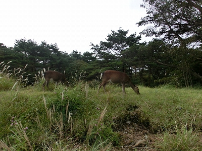 e0097018_16574438.jpg