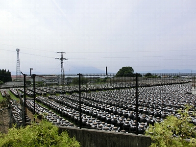 e0097018_1658138.jpg