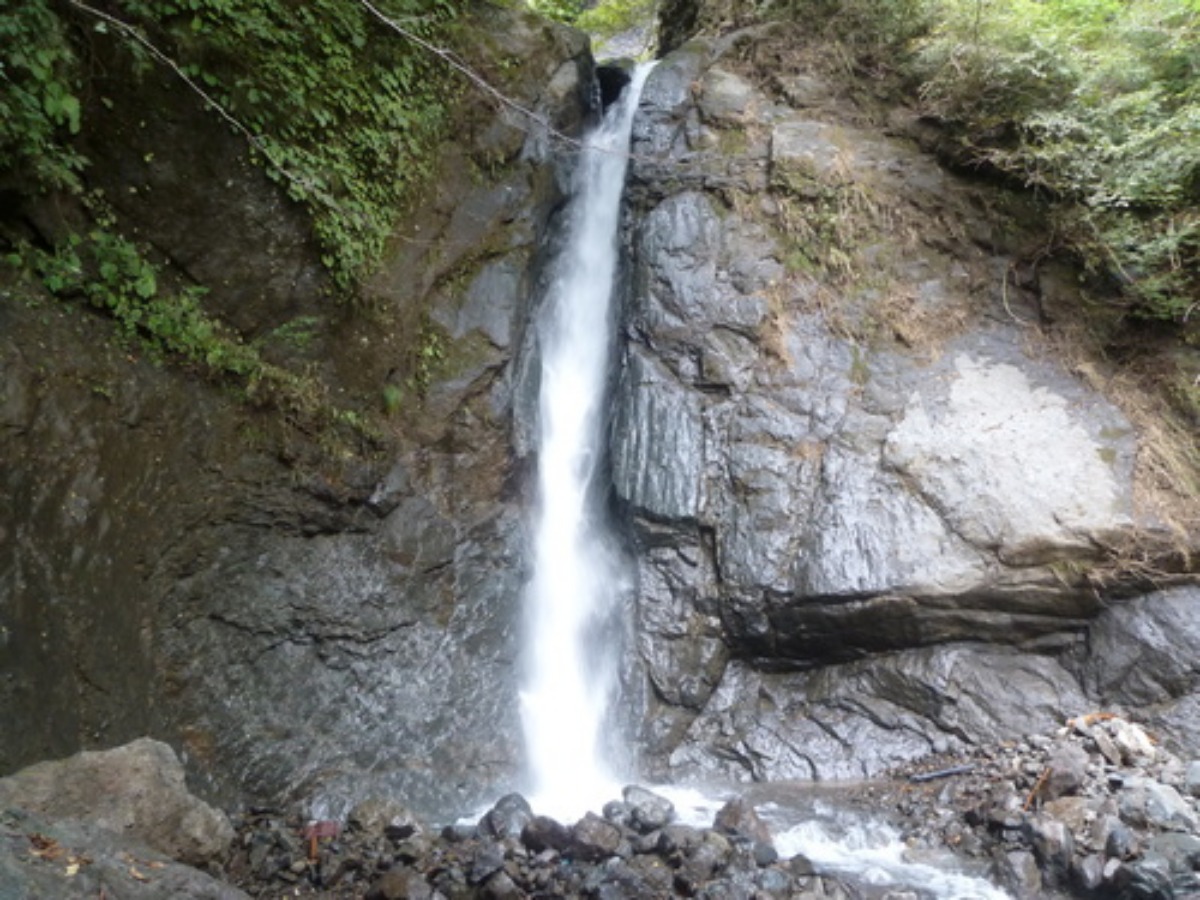 e0033229_205186.jpg