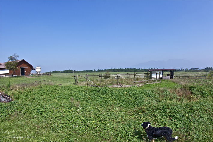 b0229832_19435012.jpg