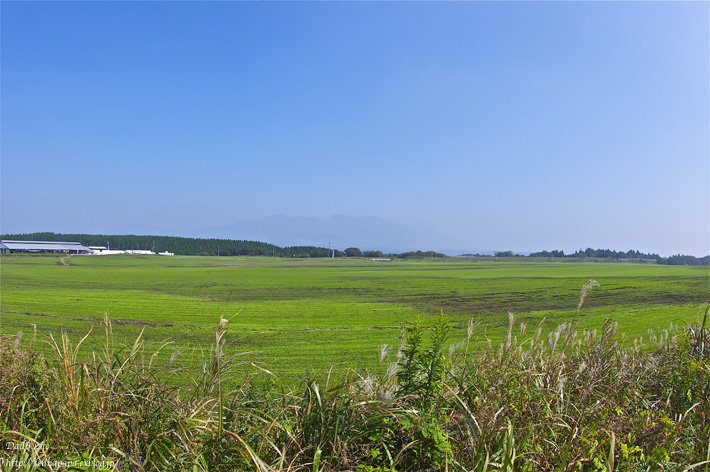 b0229832_1952145.jpg
