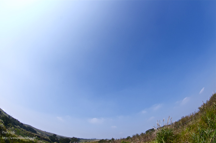 b0229832_19555291.jpg