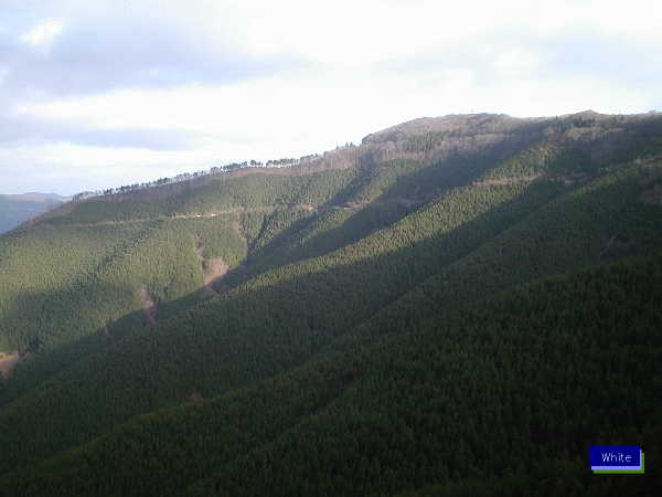c0227134_859436.jpg