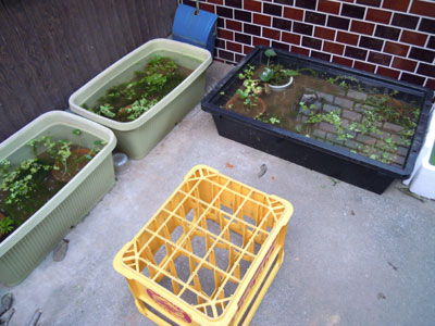 e0097534_18161976.jpg