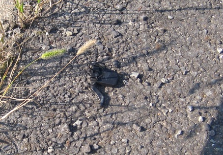 b0149340_2023241.jpg