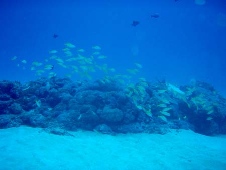 f0014842_1524215.jpg