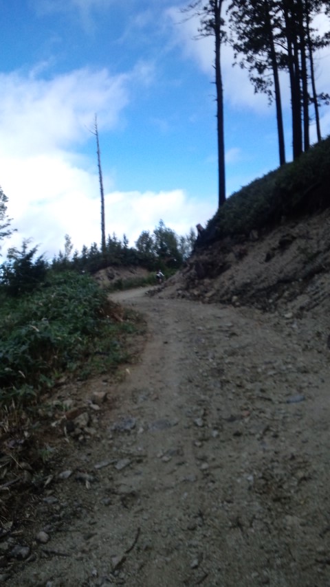 c0059543_20414257.jpg