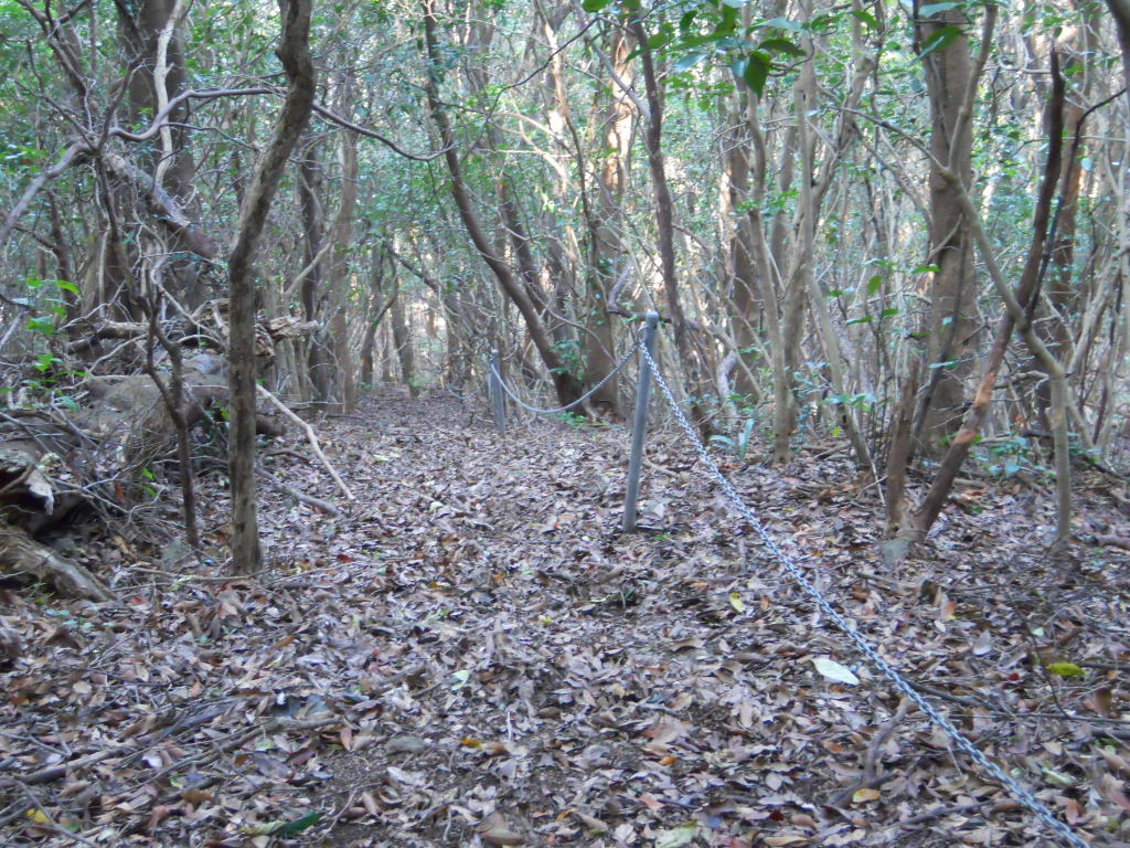 a0206345_1522881.jpg