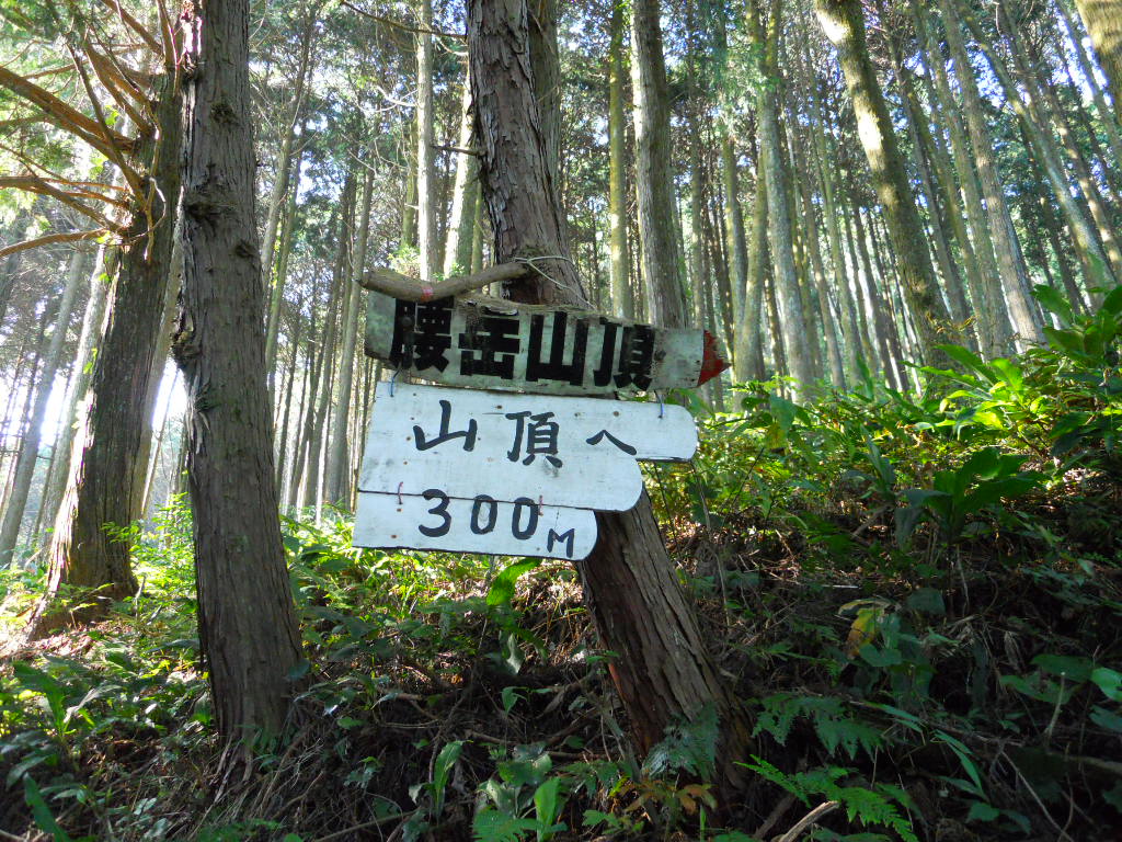 a0206345_1545481.jpg