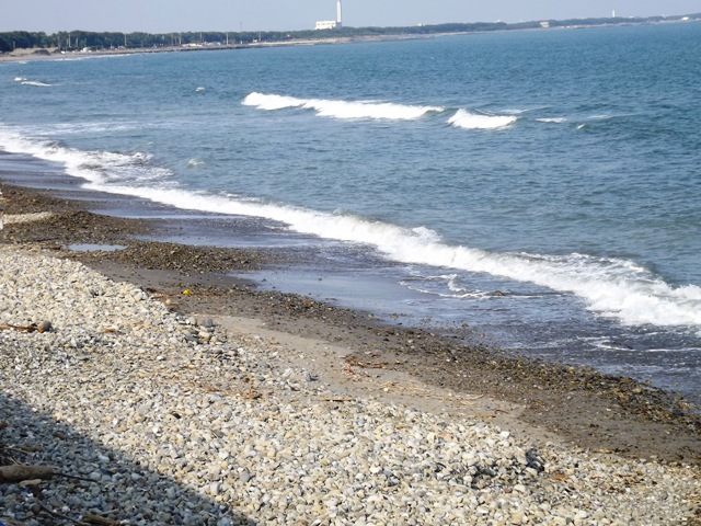 a0134746_1557885.jpg