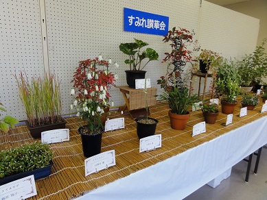f0231147_23552566.jpg
