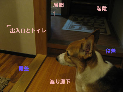 a0150850_23571056.jpg