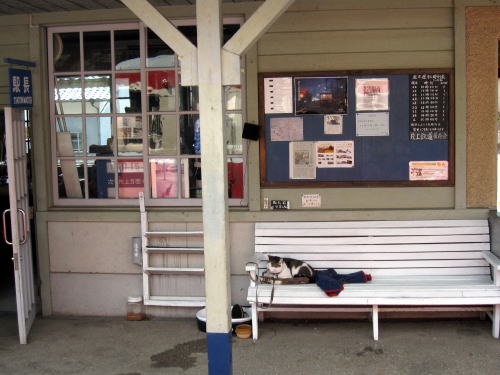 c0147952_033239.jpg