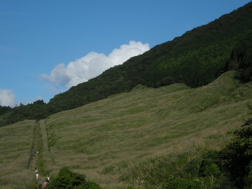 f0142953_15433572.jpg