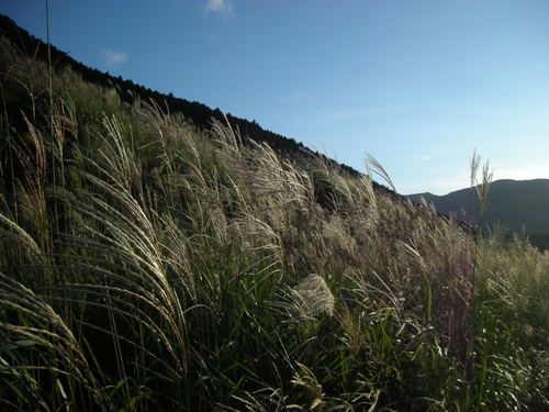 f0142953_1634463.jpg